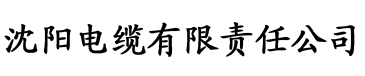 国产精品无码一级毛片不卡电缆厂logo